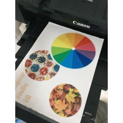 A4 custom print, on fondant...