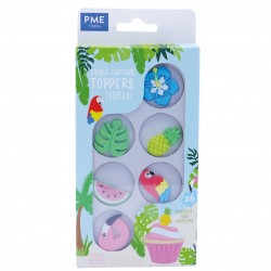 PME - Décorations en sucre...